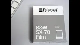Polaroid B & W Film Review  mit der Polaroid SX - 70