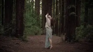 Qoya: Shadow Dance (Live Your Life with Devotion)