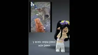 пишите вопросы в коментах будет вопрос ответ :) #video #тренд #роблокс #говрек #вопросответ