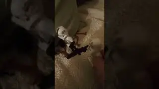7 серия Стив зомби апокалипсис пришли к базе