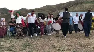 Zaza Düğünleri Halay - Elazığ Zazaları Harika Köy Düğünü .. 23 Davul Zurna Govend - Dımli Kültürü 21