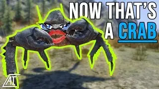 This Mod Has CRABS, Good Ones! | Marvelous Mudcrabs Skyrim Special Edition Mods 2018 (SSE)