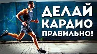 ВОТ Как Надо Делать Кардио! (Чтобы Не Навредить Себе)