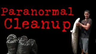 paranormal cleanup. Трейлер.