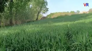 Escursione nei pressi di San Giovanni in Marignano