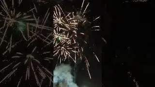 Всех с новым 2024 годом друзья! Счастья, здорово, успехов в новом году🎉🎄🎇🎆 #новыйгод #салют #2024