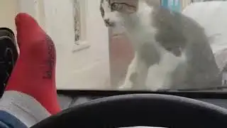 Карма