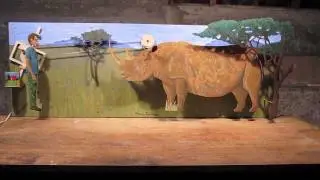 Rhino Training