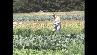 Newman's Own Organics - Ethics
