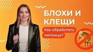 Как и чем обработать питомца от блох и клещей? | Сезон защиты от паразитов - 1 серия