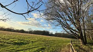 Beautiful Nature | Relaxing