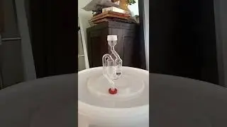 Fermentation still Strong on Day 7.