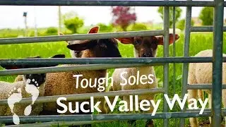 The Suck Valley Way 👣 One Second Per Kilometre