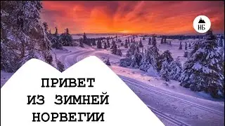Привет из зимней Норвегии!