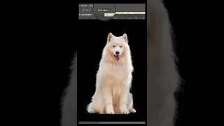 Easy Way To select hair and Remove Background - best Photoshop Tutorial