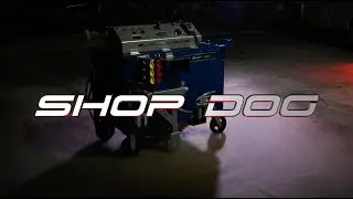 Introducing The Shop Dog