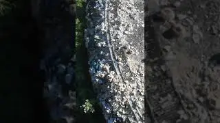 Ейск. Автомобильная покрышка обросла ракушкой.