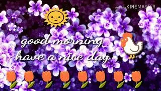 good morning gif