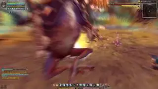 Dragon Nest INA Cap 95 Lunar Knight Solo Guardian Nest Hell (Last Video of Dragon Nest)