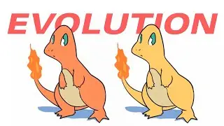 Charmander to Charizard Evolution, Normal and Shiny - Pokemon Transformation Animation