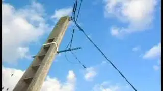Слепень