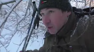 ЗАВОДИТЬ СОБАКУ ИЛИ НЕТ?