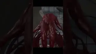 Новый виток эволюции