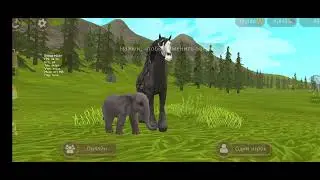 Как сделать баг на Wildclub (WildPass)•|WILDCRAFT|•