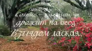 Вальс в лесу