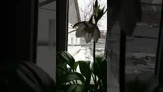Февраль,зима,Анапа.