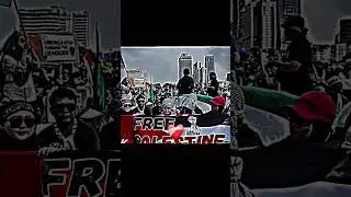 Free Palestine!! #history #viral #edit #geography #country #freepalestine #shorts