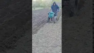 Посадка картофеля мотоблоком Konner&Sohnen KS 9HP-1350G-3