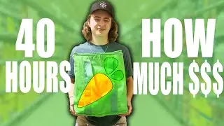 40 Hours Of Instacart... How Much Money Did I Make?