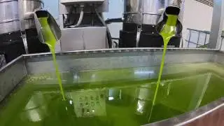Olio Novello 2020