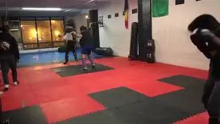 MMA Training Online!