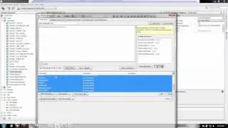 How to implement conditional query in iReport- Using Sample Database- Sample Included