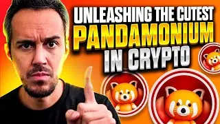 Shifu 🐼 Unleashing The Cutest Pandamonium In Crypto 🐼