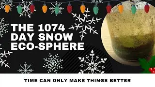 Snow ecosphere update 1074 days ( 3 years ) My first video series Ep 5 - 110