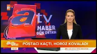 POSTACI KAÇTI, HOROZ KOVALADI