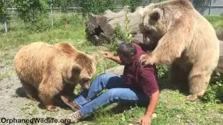 Jim and the bears