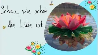 🪷Schau wie schön die Lilie ist🪷 - 🎼 Christliches Kinderlied