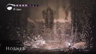 Beating Hornet until Hollow Knight: Silksong comes out.Day 1036.