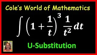 How to Find the Indefinite Integral of (1 + 1/t)^3 * 1/t^2 | Cole's World of Mathematics
