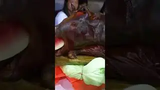 5 Best Lechon in the Philippines & Where to Find
