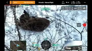Deer/Wildlife survey with M30T Drone!