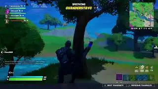 FORTNITE JUGANDO CON FAMOSOS
