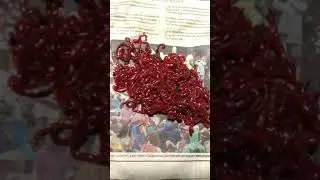 Мотыль купленный в магазине Рыболов (ул. Металлургов, 58/1)