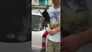Хотел зарядить аккумулятор, в итоге заблокировал тачку наглухо.