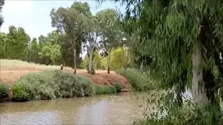 ВДОЛЬ ПО ЯРКОНУ