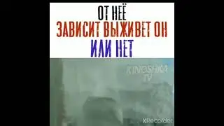 ОТ НЕЁ ЗАВИСИТ ВЫЖИВЕТ ОН ИЛИ НЕТ